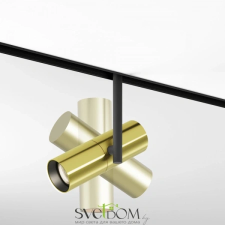 TR005-2-12W3K-BBS Maytoni