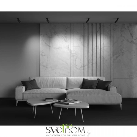 Потолочные светильники Maytoni C055CL-L12W3K-W-BS от Магазина Svetdom.by