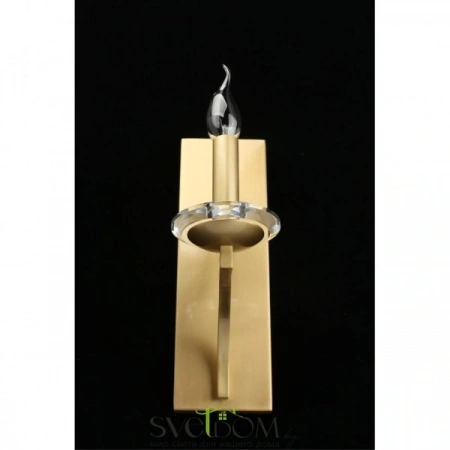 Настенные светильники APL.805.01.01 Aployt | Svetdom.by