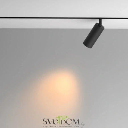 TR097-2-12W2.7K-M-BB Maytoni