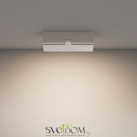 Потолочные светильники Maytoni C133CL-12W4K-W от Магазина Svetdom.by