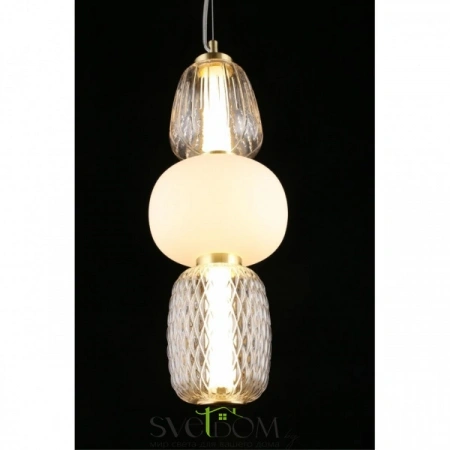 Подвесные светильники Aployt APL.318.06.29 от Магазина Svetdom.by