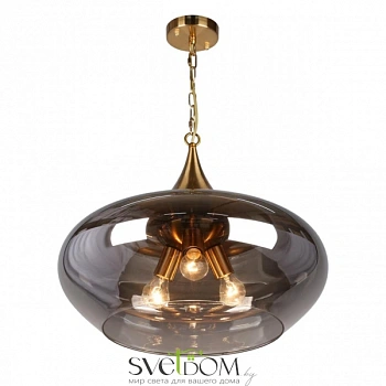 Светильник подвесной Aployt  APL.601.16.03