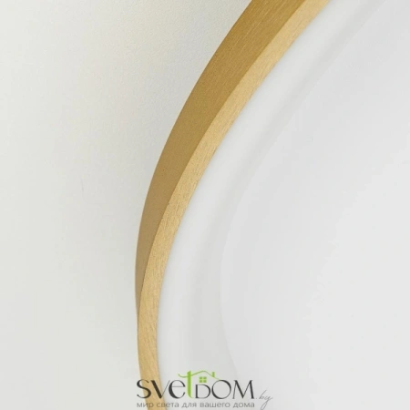 Люстры потолочныеCL756A162 CITILUX | Svetdom.by