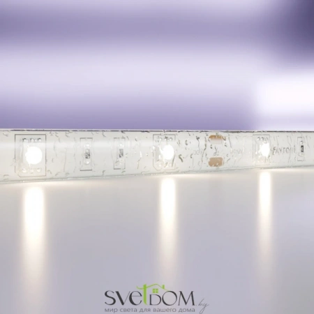 Светодиодная лента 12В 5050 7,2Вт/м  4000K 5м IP65 10124