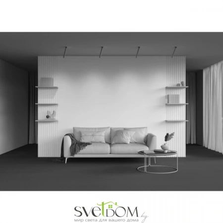 Встраиваемые светильники Maytoni C141RS-L300-6W3K-BBS от Магазина Svetdom.by