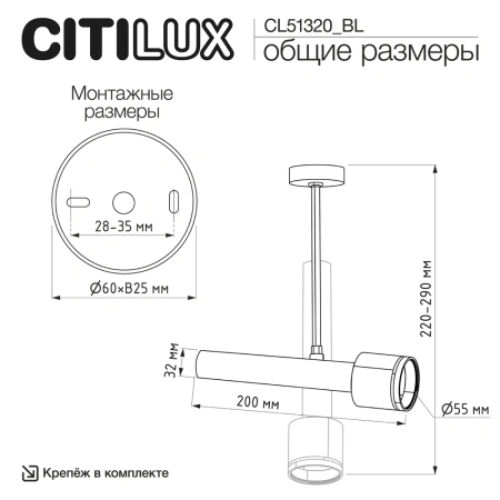 Потолочный светильник Citilux VEKTOR CL51320_BL CITILUX
