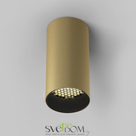 Потолочный светильник Technical C080CL-01-GU10-MG Maytoni