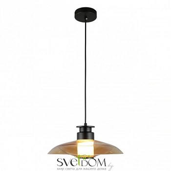 Светильник подвесной Aployt  APL.648.16.10