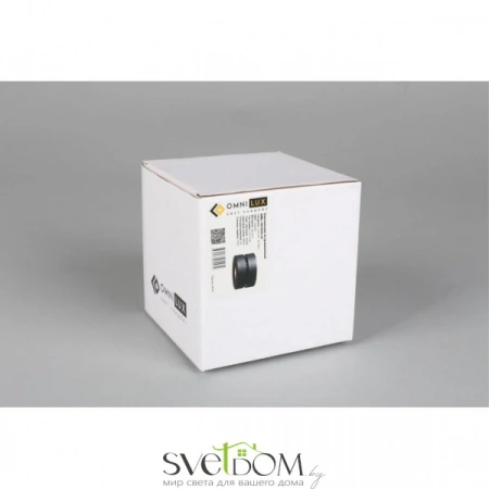 Накладные светильники Omnilux OML-101919-12 от Магазина Svetdom.by