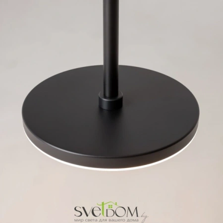 Подвесные светильники Maytoni P076PL-L12W4K-B от Магазина Svetdom.by