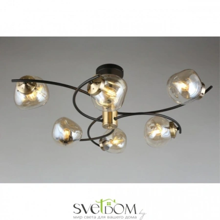 Люстры потолочныеOML-95307-06 Omnilux | Svetdom.by