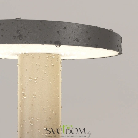 O420FL-L12GF1 Maytoni