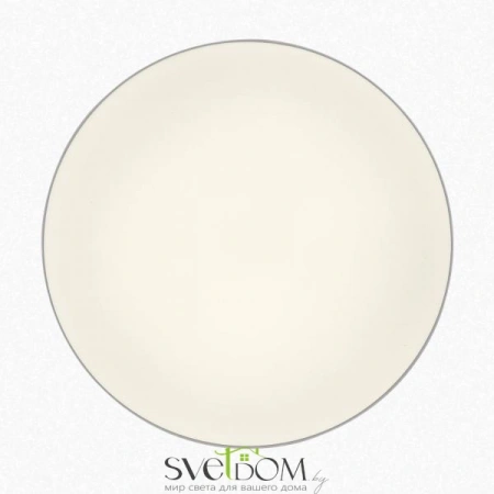 Накладные светильники CITILUX CL755390 от Магазина Svetdom.by