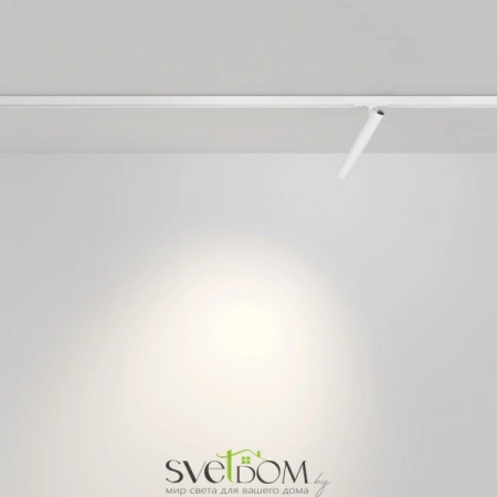 Трековый светильник Technical TR141-1-6W3K-M-W Maytoni
