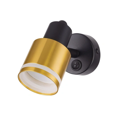 Поворотный спот Citilux Bruno CL565514 CITILUX