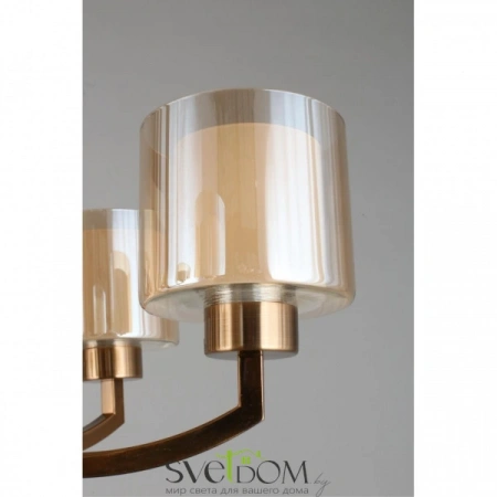 Люстры подвесныеOML-55913-06 Omnilux | Svetdom.by