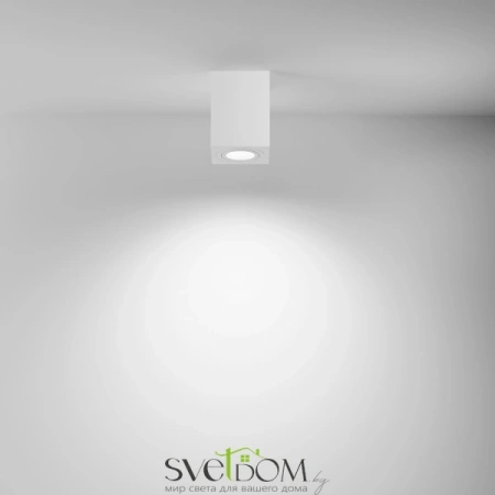 Фото Потолочные светильники Maytoni C017CL-01W Потолочные светильники Maytoni C017CL-01W от Магазина Svetdom.by