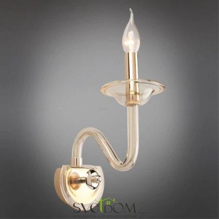 Настенные светильники APL.730.01.01 Aployt | Svetdom.by