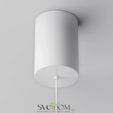 Подвесные светильники Maytoni P076PL-L12W4K-W от Магазина Svetdom.by