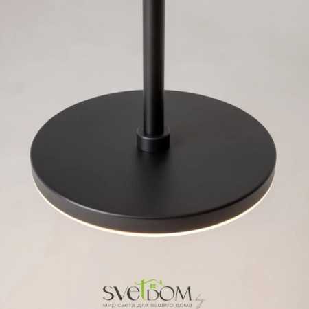 Подвесные светильники Maytoni P076PL-L12W3K-B от Магазина Svetdom.by