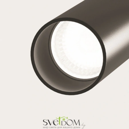 Потолочные светильники Maytoni C021CL-02B от Магазина Svetdom.by