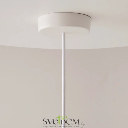 Подвесные светильники Maytoni MOD405PL-01W от Магазина Svetdom.by