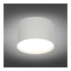 Светильник встраиваемый-накладной Omnilux  OML-103309-06 Omnilux