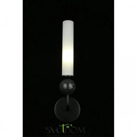 Настенные светильники APL.339.01.01 Aployt | Svetdom.by