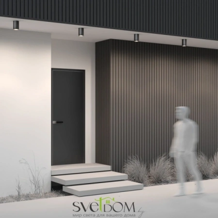 O306CL-L12GF Maytoni