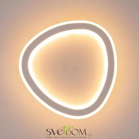 Потолочные светильники CITILUX CL215B220 от Магазина Svetdom.by