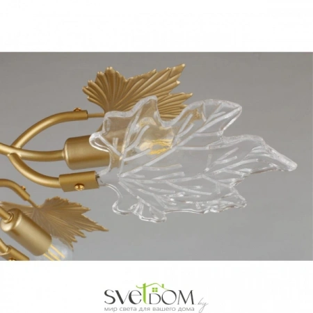 Люстры потолочныеOML-52707-06 Omnilux | Svetdom.by