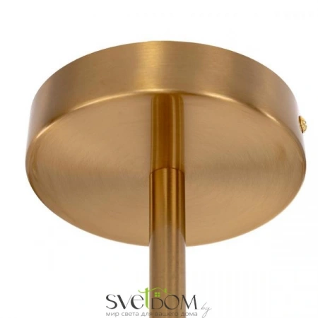 Люстры на штангеCL242193 CITILUX | Svetdom.by