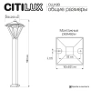 Уличный парковый светильник Citilux GENOX CLU12B CITILUX