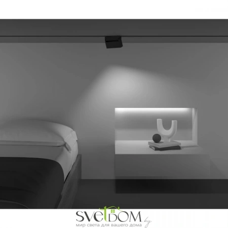 TR077-2-10W4K-B Maytoni