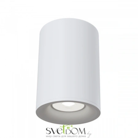Потолочные светильники Maytoni C012CL-01W от Магазина Svetdom.by
