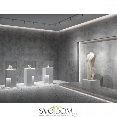 Светодиодная лента 12В 5050 7,2Вт/м  6000K 5м IP20 10122