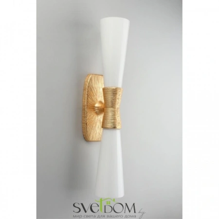 Настенные светильники APL.800.01.02 Aployt | Svetdom.by