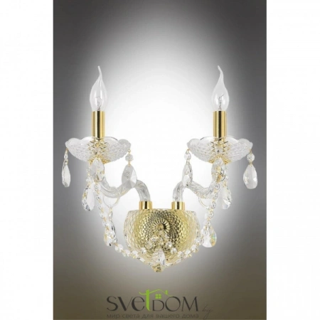 Настенные светильники OML-70001-02 Omnilux | Svetdom.by