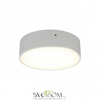 Светильник настенно-потолочный Aployt  APL.0113.09.12