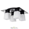 Потолочный светильник Lussole Lente LSC-2507-04 E14 Lussole