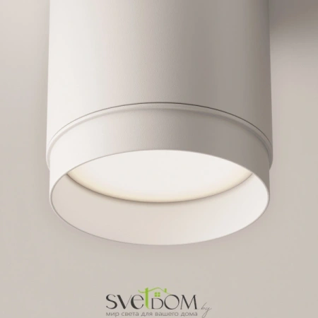Потолочный светильник Technical C088CL-GX53-W Maytoni