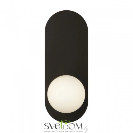 Настенные светильники MOD419WL-01B Maytoni | Svetdom.by