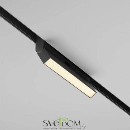 TR036-2-12W2.7K-B Maytoni