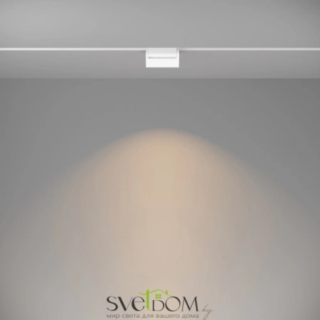 TR013-2-10W3K-W Maytoni