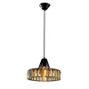 Подвесной светильник Citilux Эдисон CL450212 CITILUX