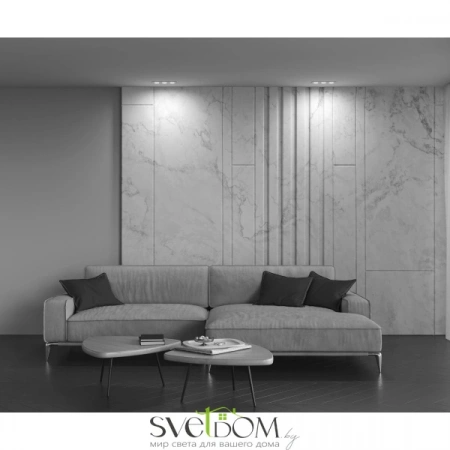 Фото Встраиваемые светильники Maytoni DL024-2-03W Встраиваемые светильники Maytoni DL024-2-03W от Магазина Svetdom.by