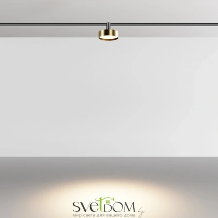 TR204-1-12W3K-BBS Maytoni