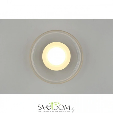 Настенные светильники APL.341.31.06 Aployt | Svetdom.by