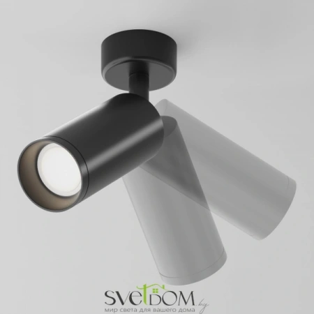 Потолочные светильники Maytoni C017CW-01B от Магазина Svetdom.by